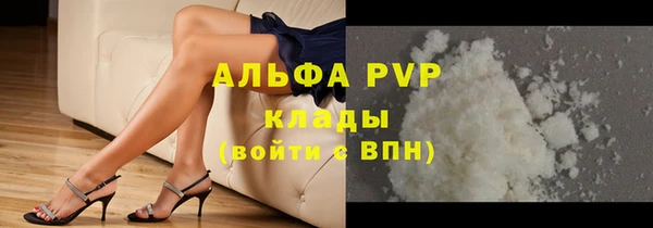 прущие грибы Михайловка