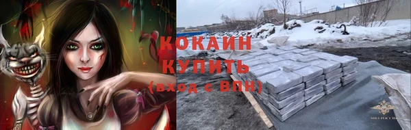 прущие грибы Михайловка